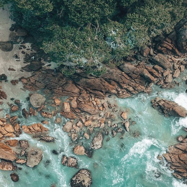 Tauranga coastline, New Zealand. Protect the environment through climate disclosure and sustainability reporting with NZCS1, TCFD, IFRS S2, and climate related financial disclosures.